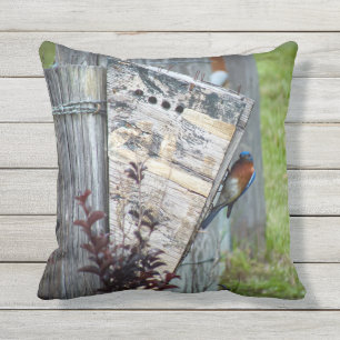 Außenpolster Kissen