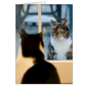 Außenseite, die herein schaut