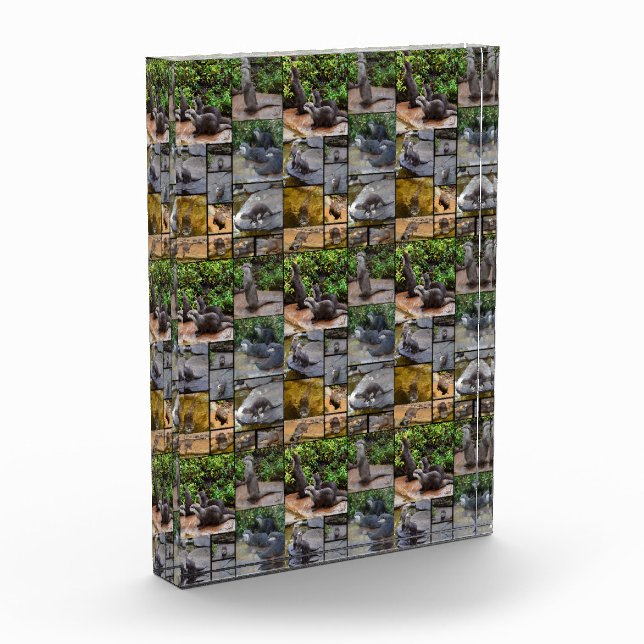 **"Außergewöhnlich erfreulich: Eine Fotogalerie vo Fotoblock (Links)