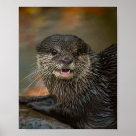 Außergewöhnlich überraschend poster