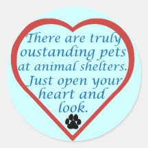 Außergewöhnliche Haustiere