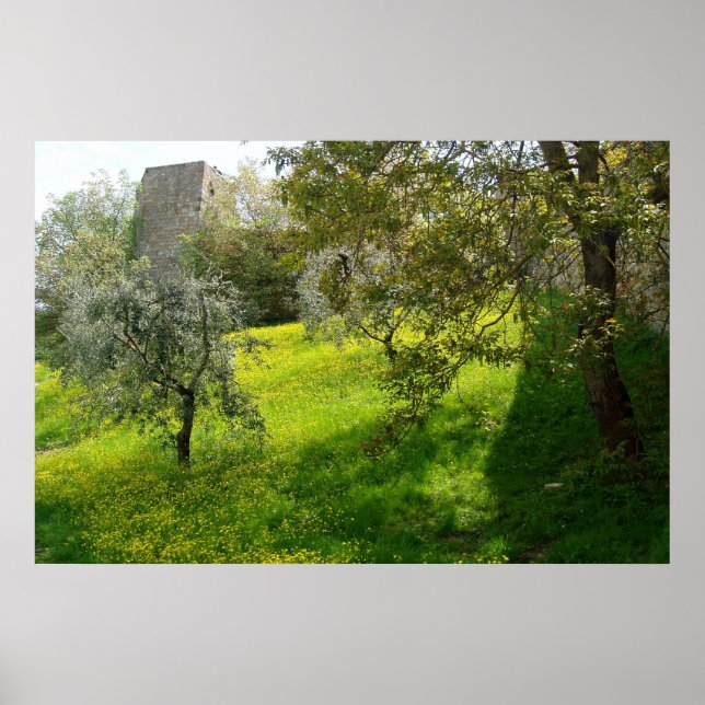 Außerhalb der Mauern von San Gimignano Poster (Vorne)