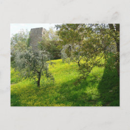 Außerhalb der Mauern von San Gimignano Postkarte