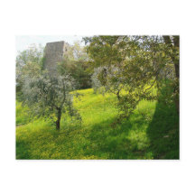 Außerhalb der Mauern von San Gimignano