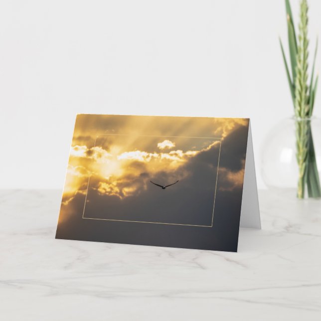 Außerhalb der Sonne Adler mit Grenze Karte (Vorderseite)