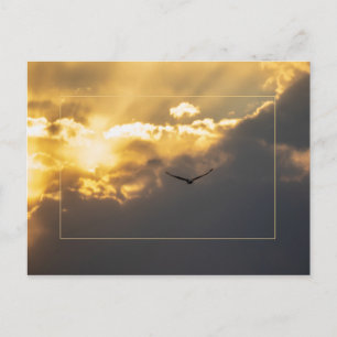 Außerhalb der Sonne Adler mit Grenze Postkarte
