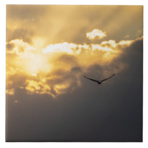 Außerhalb des Sonnenblumenadlers Fliese