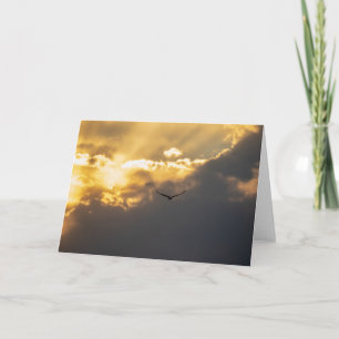 Außerhalb des Sonnenblumenadlers Karte