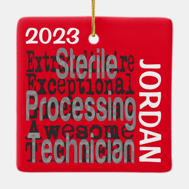 Außerordentlicher Steriltechniker Keramikornament (Rückseite)