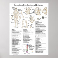 Außerordentliches Punkteposter
