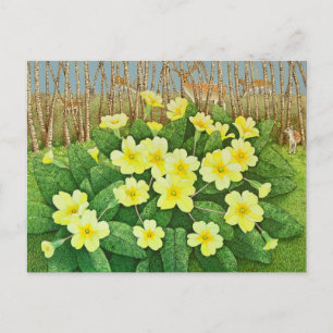 Aussicht auf 2011 postkarte