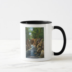 Aussicht auf Ausable River Falls und Bridge Tasse
