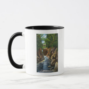 Aussicht auf Ausable River Falls und Bridge Tasse