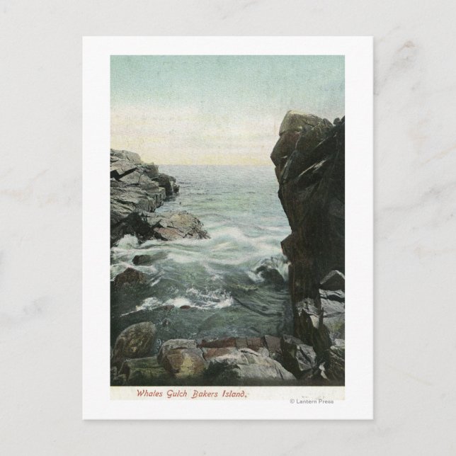 Aussicht auf Bakers Island, Whales Gulch Postkarte (Vorderseite)