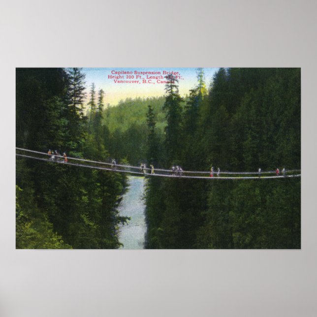 Aussicht auf Capilano Hängebrücke Poster (Vorne)