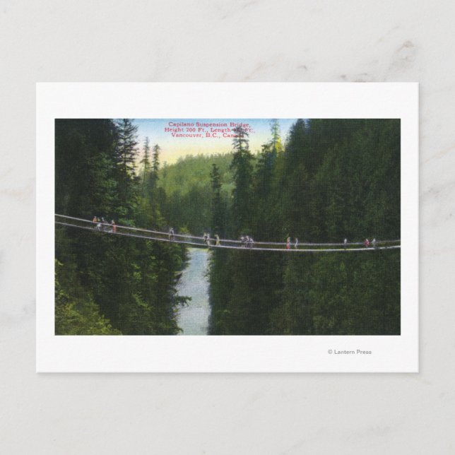 Aussicht auf Capilano Hängebrücke Postkarte (Vorderseite)