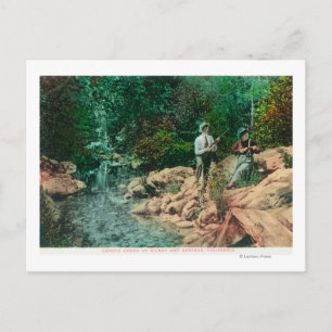 Aussicht auf Coyote Creek bei Gilroy Hot Springs Postkarte