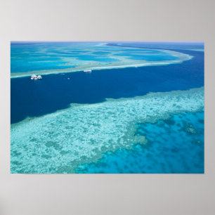 Aussicht auf das Great Barrier Reef durch die Luft Poster