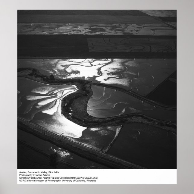 Aussicht auf das Sacramento-Tal von Ansel Adams Poster (Vorne)