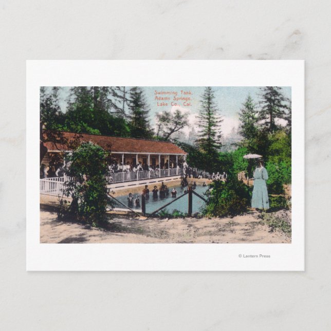 Aussicht auf das SchwimmbadAdams Springs, CA Postkarte (Vorderseite)