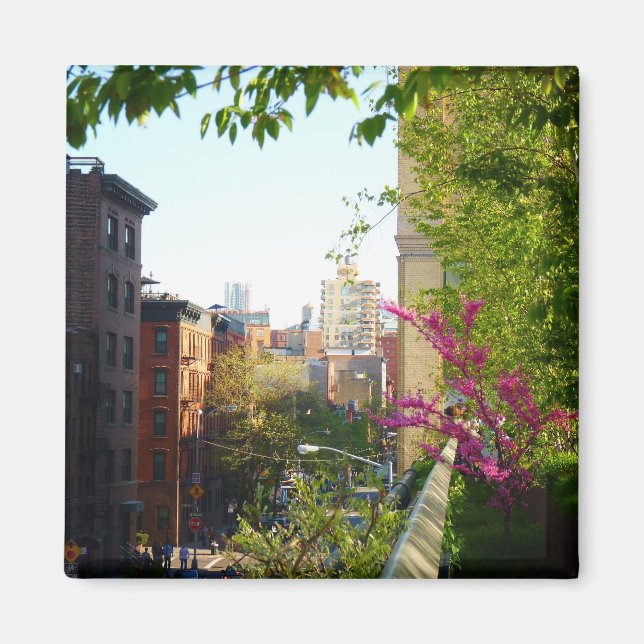 Aussicht auf das West Village vom Highline, NYC Magnet (Vorne)