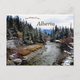 Aussicht auf den Bow River Alberta Kanada Postkarte