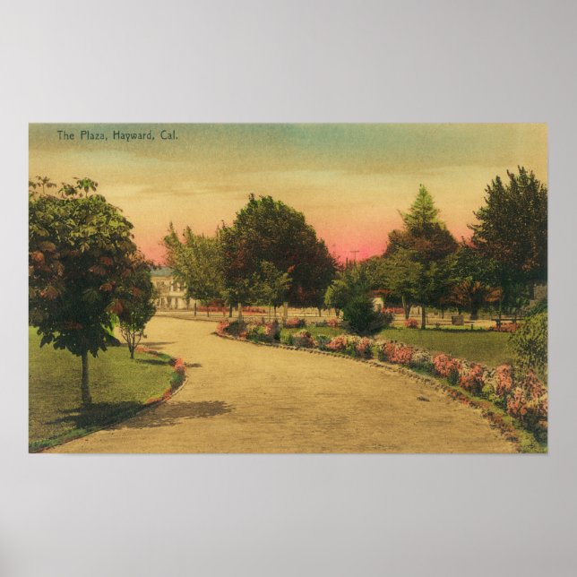 Aussicht auf den City PlazaHayward, CA. Poster (Vorne)