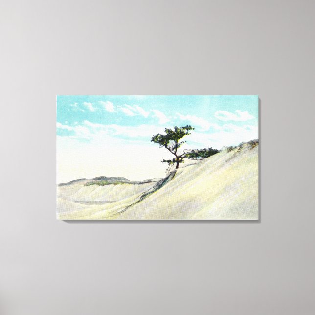 Aussicht auf den Dorothy Bradford Steamer Leinwanddruck (Vorderseite)