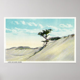 Aussicht auf den Dorothy Bradford Steamer Poster