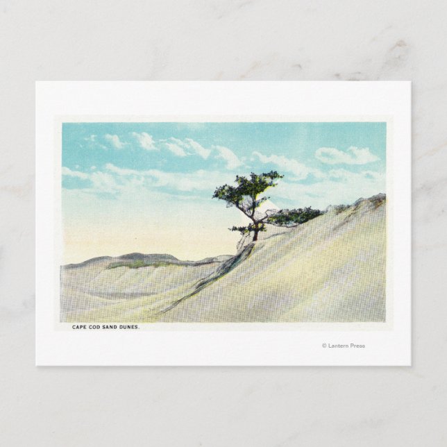 Aussicht auf den Dorothy Bradford Steamer Postkarte (Vorderseite)