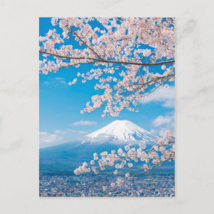Aussicht auf den Fuji mit Kirschblüten Postkarte