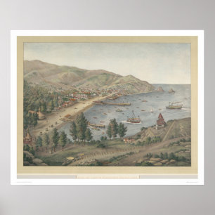 Aussicht auf den Hafen von Avalon, Insel Santa Cat Poster