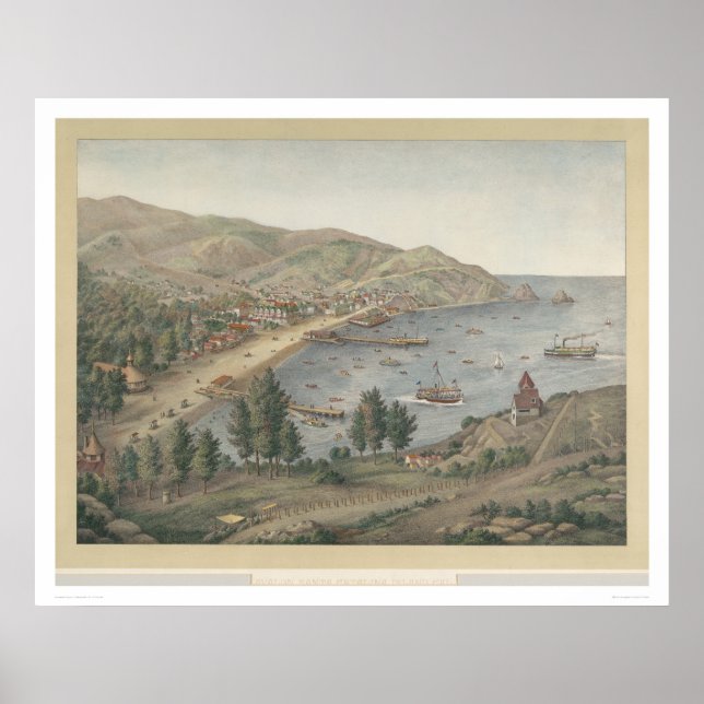 Aussicht auf den Hafen von Avalon, Insel Santa Cat Poster (Vorne)