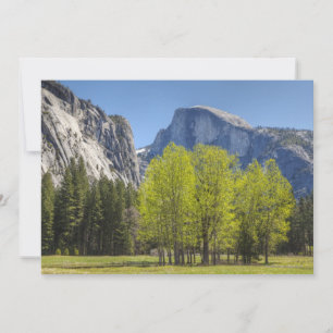 Aussicht auf den halben Dom