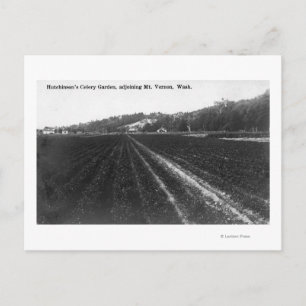 Aussicht auf den Hutchinson Celery Garden Postkarte