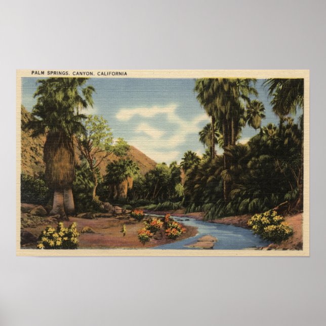 Aussicht auf den Palm Springs Canyon Poster (Vorne)