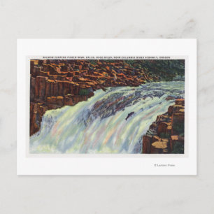 Aussicht auf den Salmon Jumping Punch Bowl Falls Postkarte