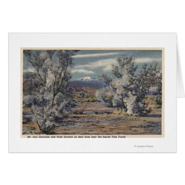 Aussicht auf den San Gorgonio und die Palmenquelle (Vorderseite (Horizontal))