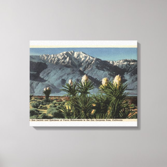 Aussicht auf den San Jacinto, Yucca Mohavensis Leinwanddruck (Vorderseite)