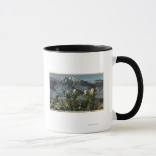 Aussicht auf den San Jacinto, Yucca Mohavensis Tasse