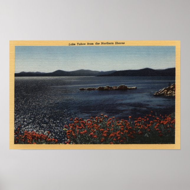 Aussicht auf den See von der Nordküste Poster (Vorne)