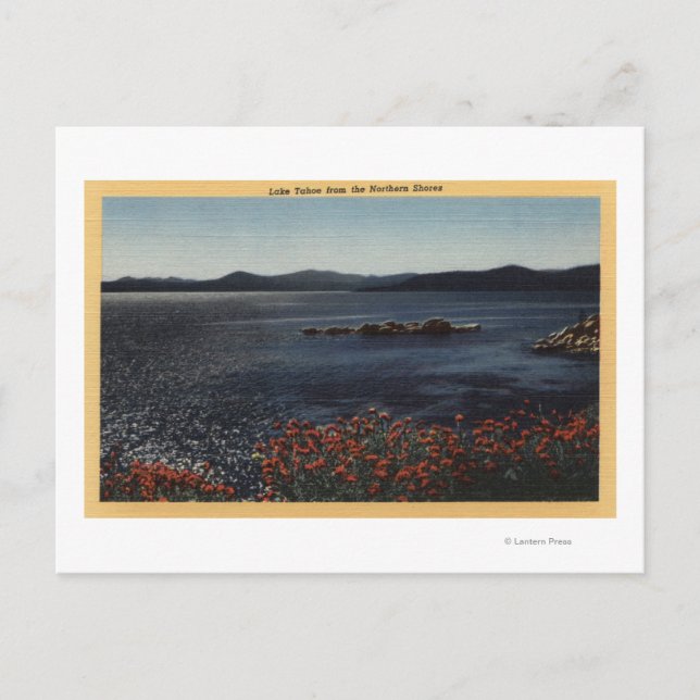 Aussicht auf den See von der Nordküste Postkarte (Vorderseite)