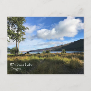 Aussicht auf den See Wallowa, Oregon Postkarte