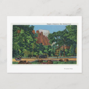 Aussicht auf den Tempel von Sinawava Postkarte