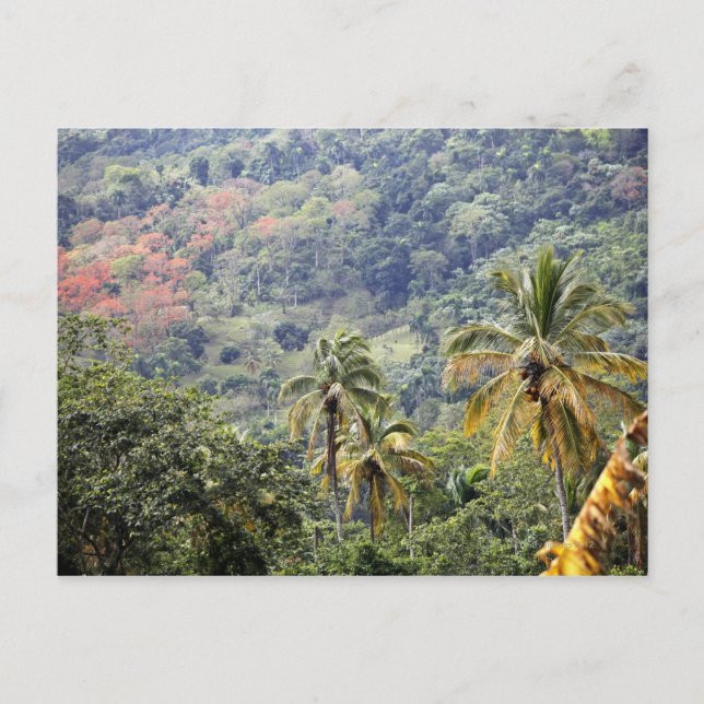 Aussicht auf die Berge, Dominikanische Republik. Postkarte (Vorderseite)