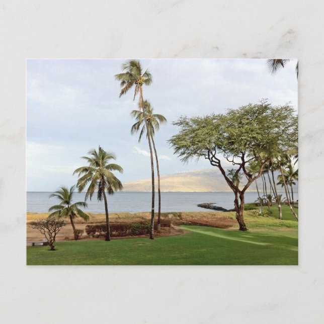 Aussicht auf die Bucht von Maalaea von Kihei aus,  Postkarte (Vorderseite)