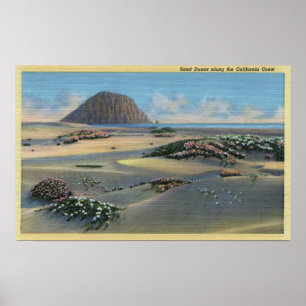 Aussicht auf die Dünen von Sand an der Küste Poster