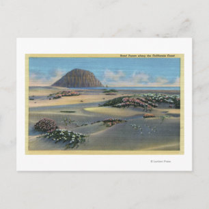 Aussicht auf die Dünen von Sand an der Küste Postkarte