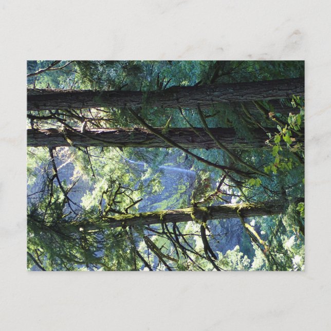 Aussicht auf die Elowah Falls, Oregon Postkarte (Vorderseite)