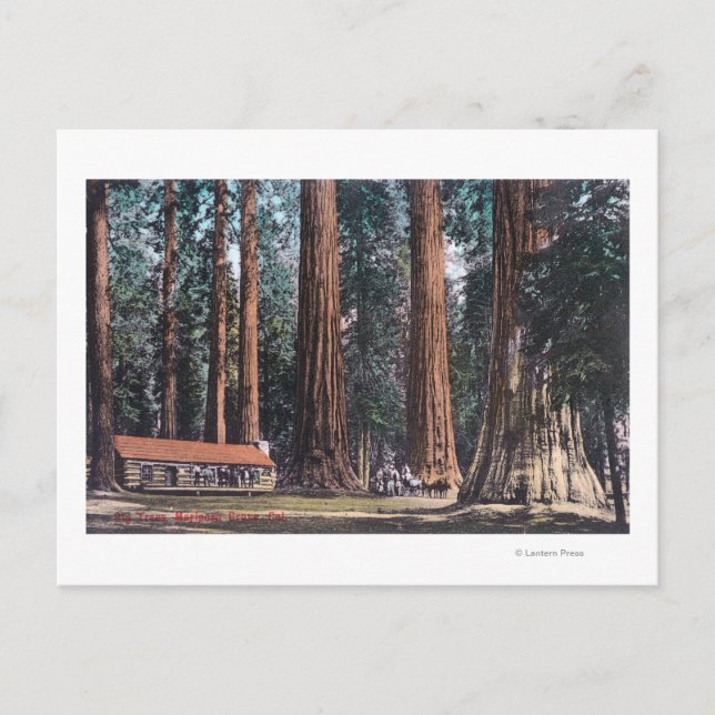 Aussicht auf die Grotten von Mariposa Postkarte (Vorderseite)